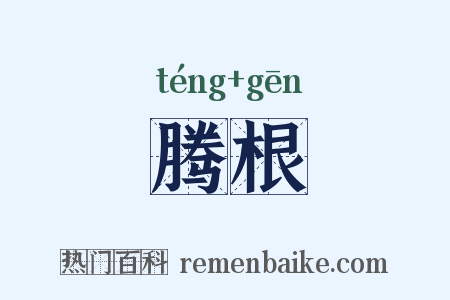 腾根是什么意思的图片